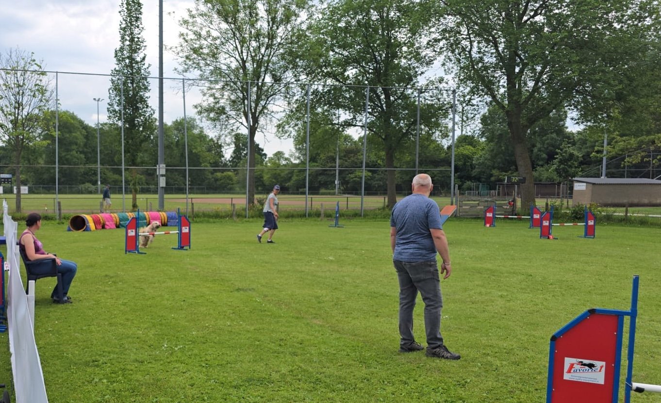 agility_wedstrijd