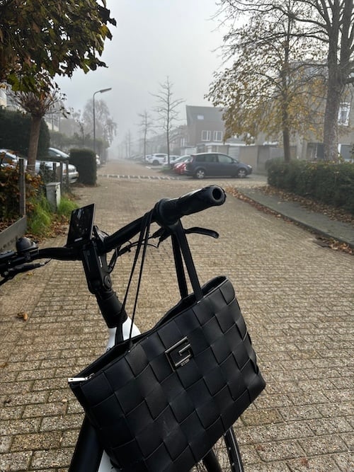 inzicht-leiderschap-loslaten