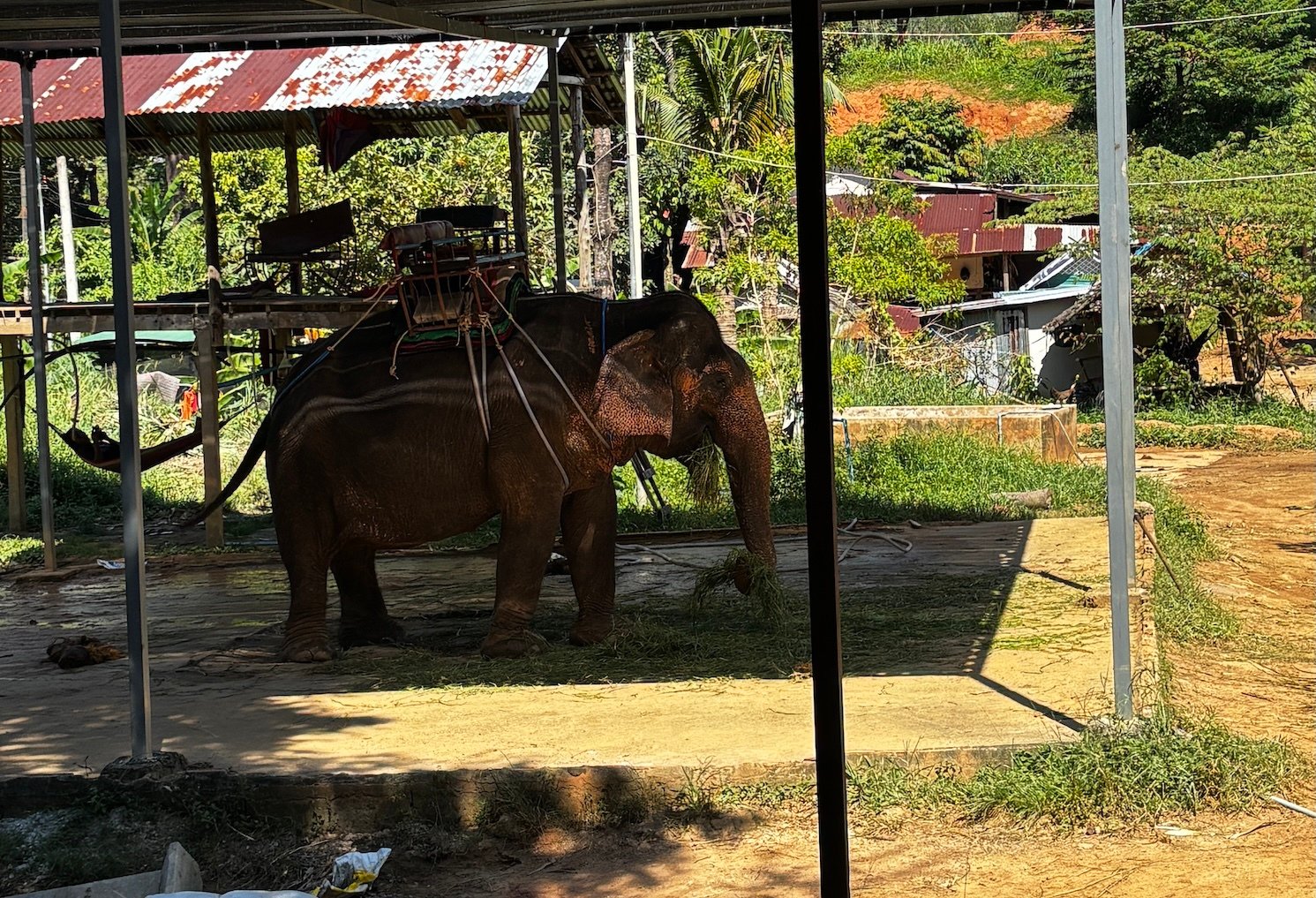 verbinden_met_de_natuur_werken_in_thailand